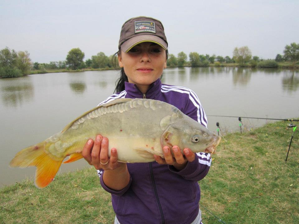 2012-2013 - 25126443775015884151285046041n1.jpg